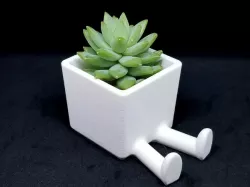 plant pot