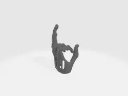 prosthetic honor finger
