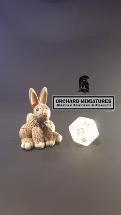 Rabbit
