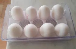 Samsung Refrigerator Doorbox + Egg-rack