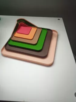 Sorting Tray / Liquid Handling / Dipping Tray