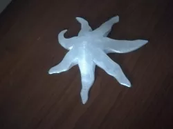 Star fish