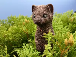 Stoat