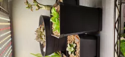 Tall Square Succulent Pot