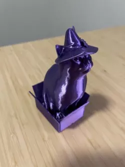 Witch hat cat in a box