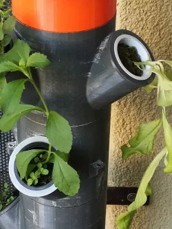 Adapter Ring for Net Cups on Hydroponic Tower