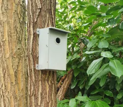 Bird house for tits