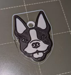 Boston Terrier tag