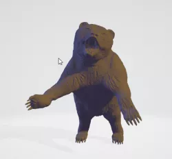 Brown Bear Scan