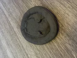 Buddy Dog Bed