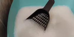 Cat Litter Scoop with large holes