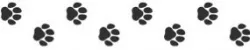 Cat paws texture roller