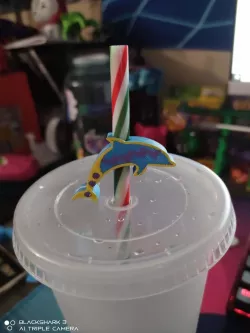 Dolphin Straw Topper