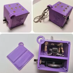 electronic pocket dice