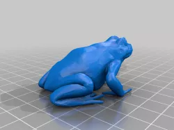 frogs