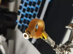 Nozzle ring