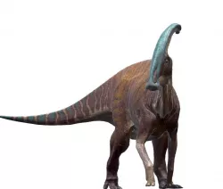 Parasaurolophus