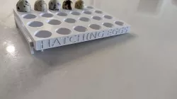 Quail Hatching Egg Storage w/ Tilt Stand