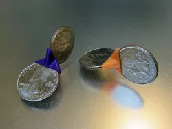 Roly Poly Coin Fidget