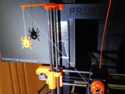 Spider indicator