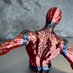 Spider-Man no support needed