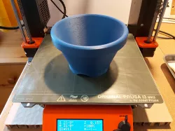 Training-pot Bonsai