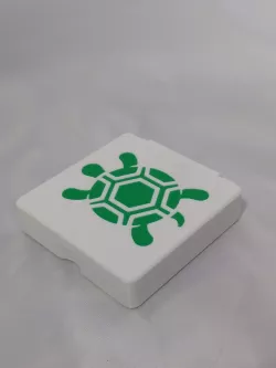 Turtle Inlay Box