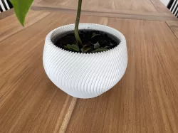 Twisted plant pot
