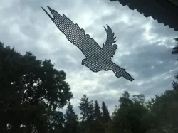 Window Decal Birds Collection