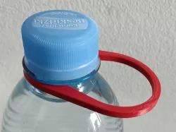 Bottle clip