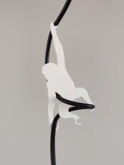 Cable monkey