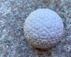 Clay Stamp Balls 05: Exotic Dodecahedron