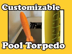 Customizable Pool Torpedo