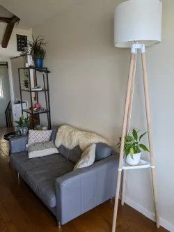 Floor lamp with shelf