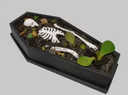 Halloween coffin pot for succulents