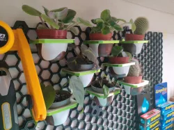 Honeycomb Wall Planter Holder for Baby Plants