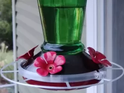 Hummingbird feeder perch adapter