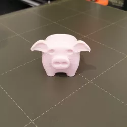 Little pig