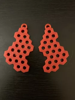 Polygon Pattern Earrings