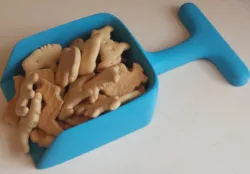 Sandbox Shovel