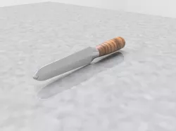 self defence/training knife