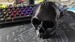 Skull with Brain - Candy Hiding Place with more space