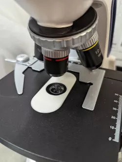 Swift 380T Table Insert