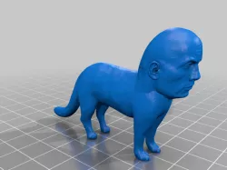 The Cat