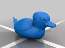 Turtle Duck