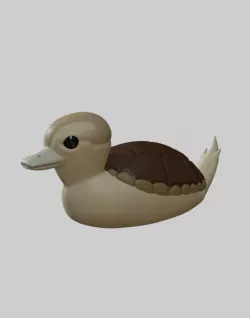 Turtle Duck