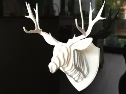 Wall mounted Deer head