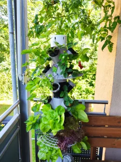 Balcony Strawberry Tower with IKEA Persillade Modular Hydroponic