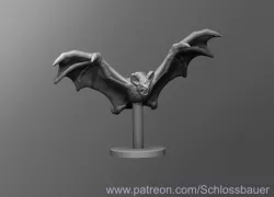 Bat
