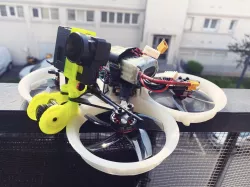 CinePickle : A toothpick made into a 3" Cinewhoop